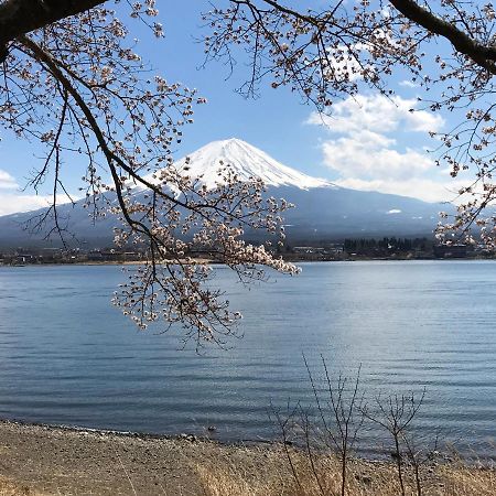 Mt Fuji Cat&Dog&Spa Pension Blue Poppy Fujikawaguchiko Exterior photo