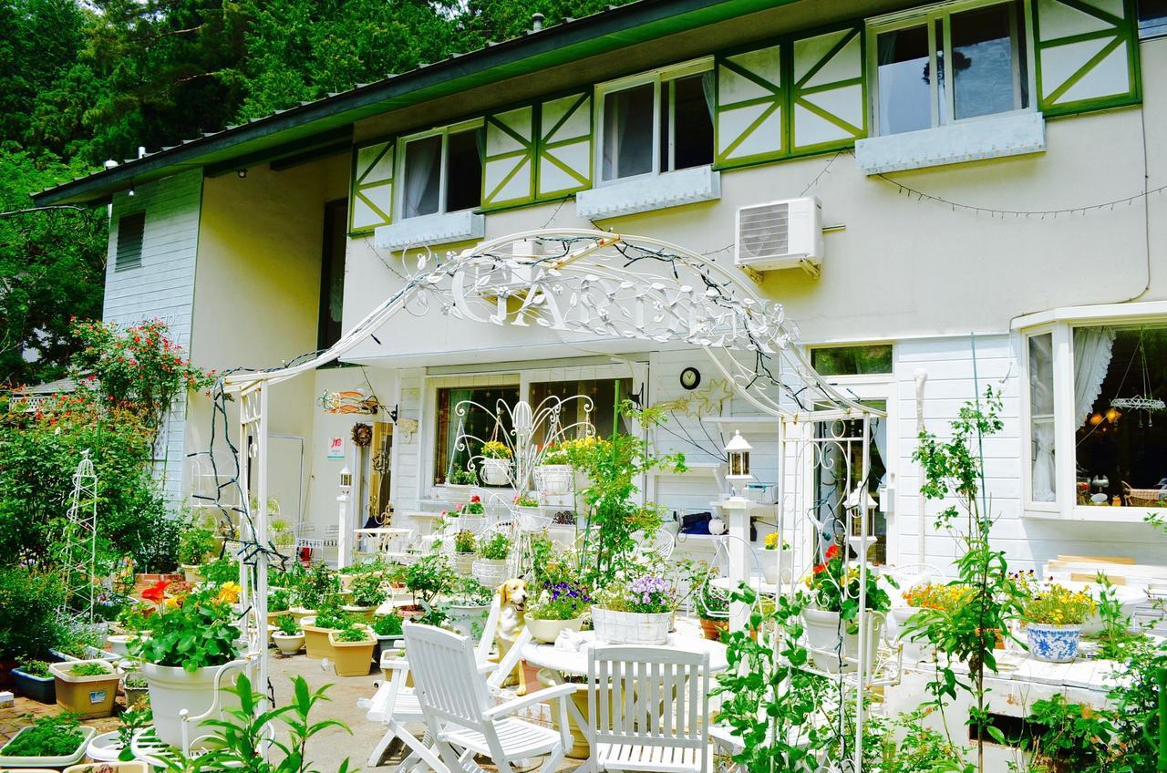 Mt Fuji Cat&Dog&Spa Pension Blue Poppy Fujikawaguchiko Exterior photo