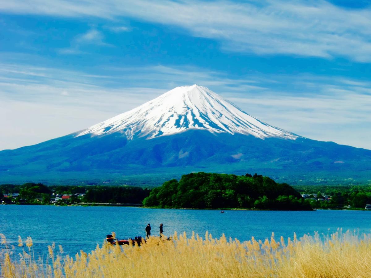 Mt Fuji Cat&Dog&Spa Pension Blue Poppy Fujikawaguchiko Exterior photo