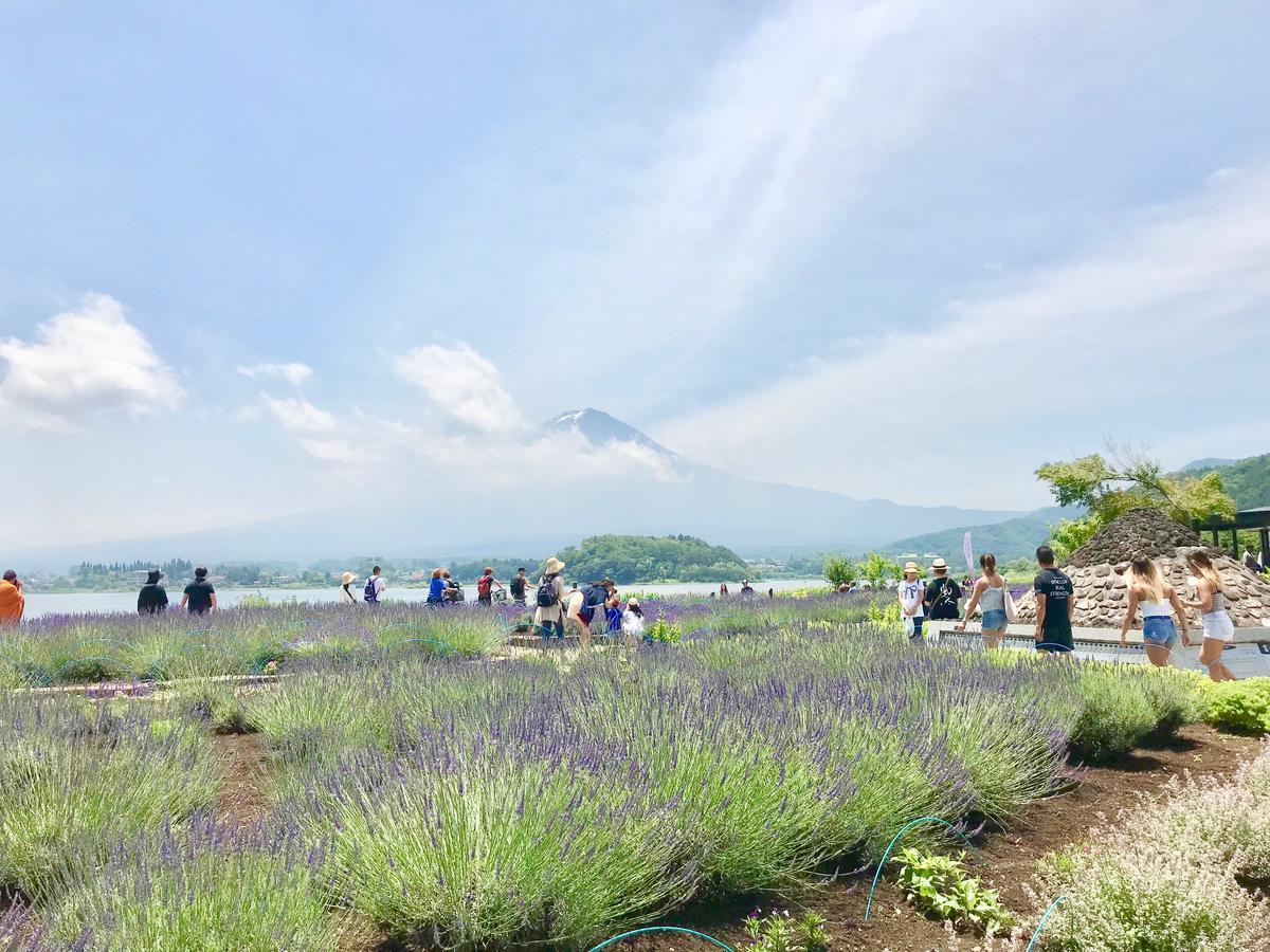 Mt Fuji Cat&Dog&Spa Pension Blue Poppy Fujikawaguchiko Exterior photo