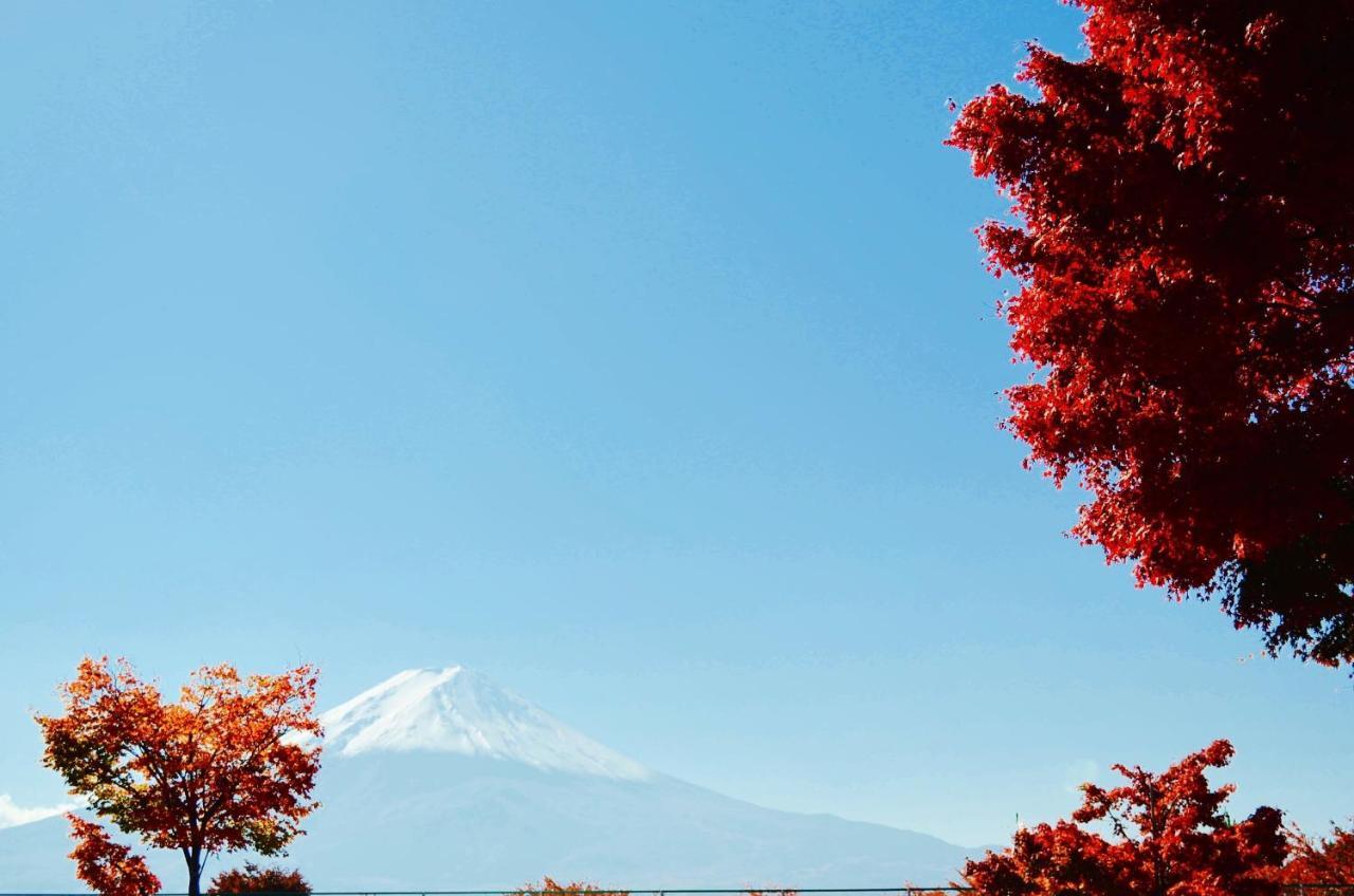 Mt Fuji Cat&Dog&Spa Pension Blue Poppy Fujikawaguchiko Exterior photo