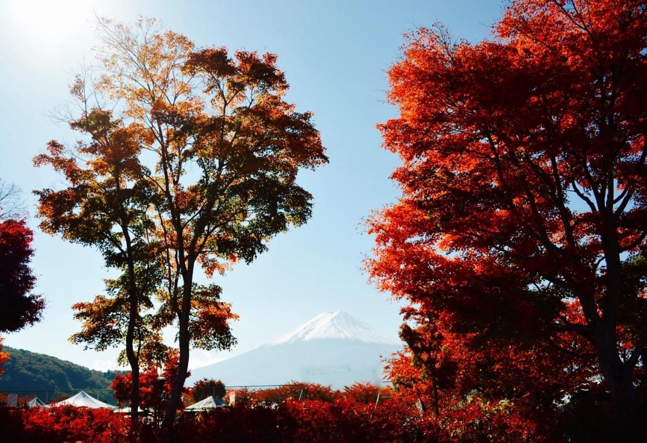 Mt Fuji Cat&Dog&Spa Pension Blue Poppy Fujikawaguchiko Exterior photo