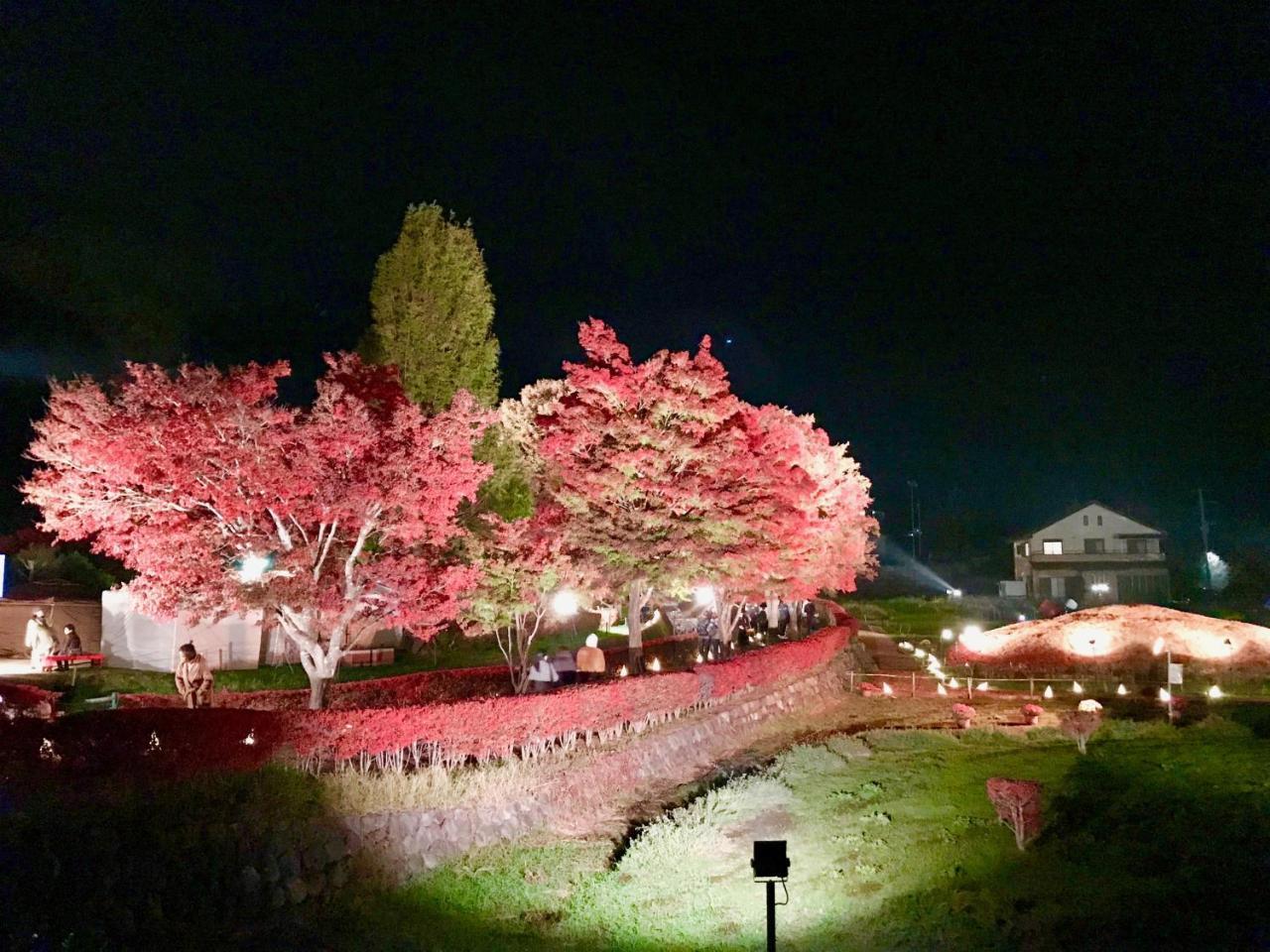 Mt Fuji Cat&Dog&Spa Pension Blue Poppy Fujikawaguchiko Exterior photo