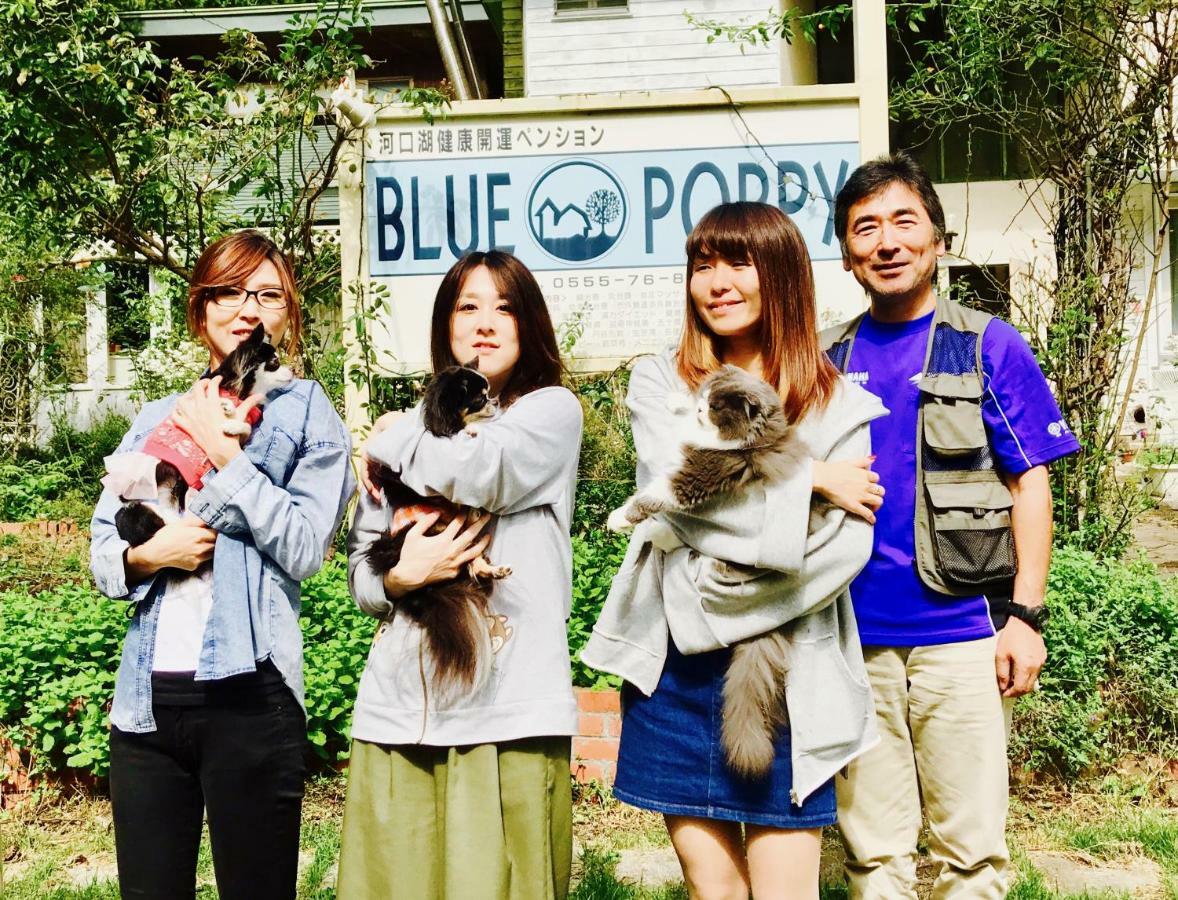 Mt Fuji Cat&Dog&Spa Pension Blue Poppy Fujikawaguchiko Exterior photo