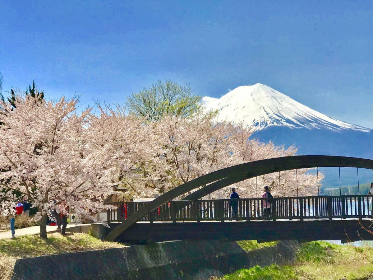 Mt Fuji Cat&Dog&Spa Pension Blue Poppy Fujikawaguchiko Exterior photo