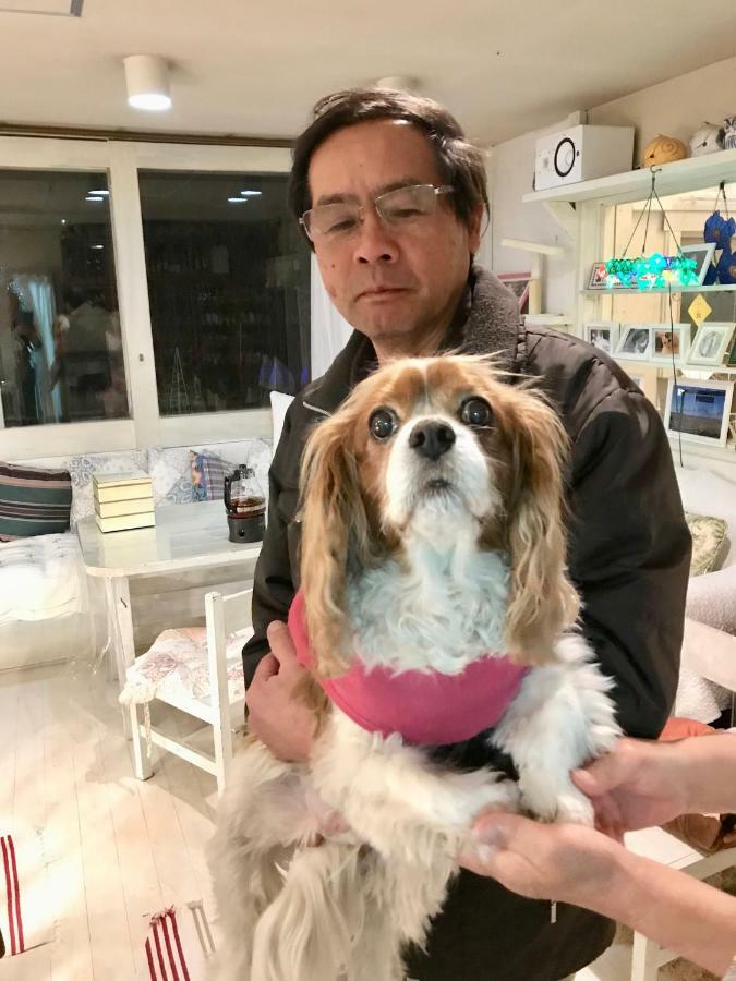 Mt Fuji Cat&Dog&Spa Pension Blue Poppy Fujikawaguchiko Exterior photo