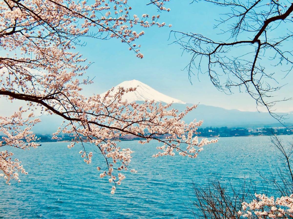Mt Fuji Cat&Dog&Spa Pension Blue Poppy Fujikawaguchiko Exterior photo