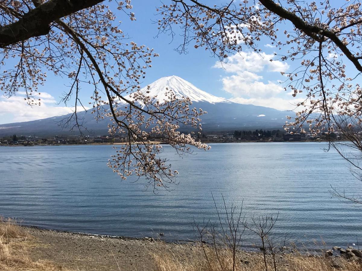 Mt Fuji Cat&Dog&Spa Pension Blue Poppy Fujikawaguchiko Exterior photo