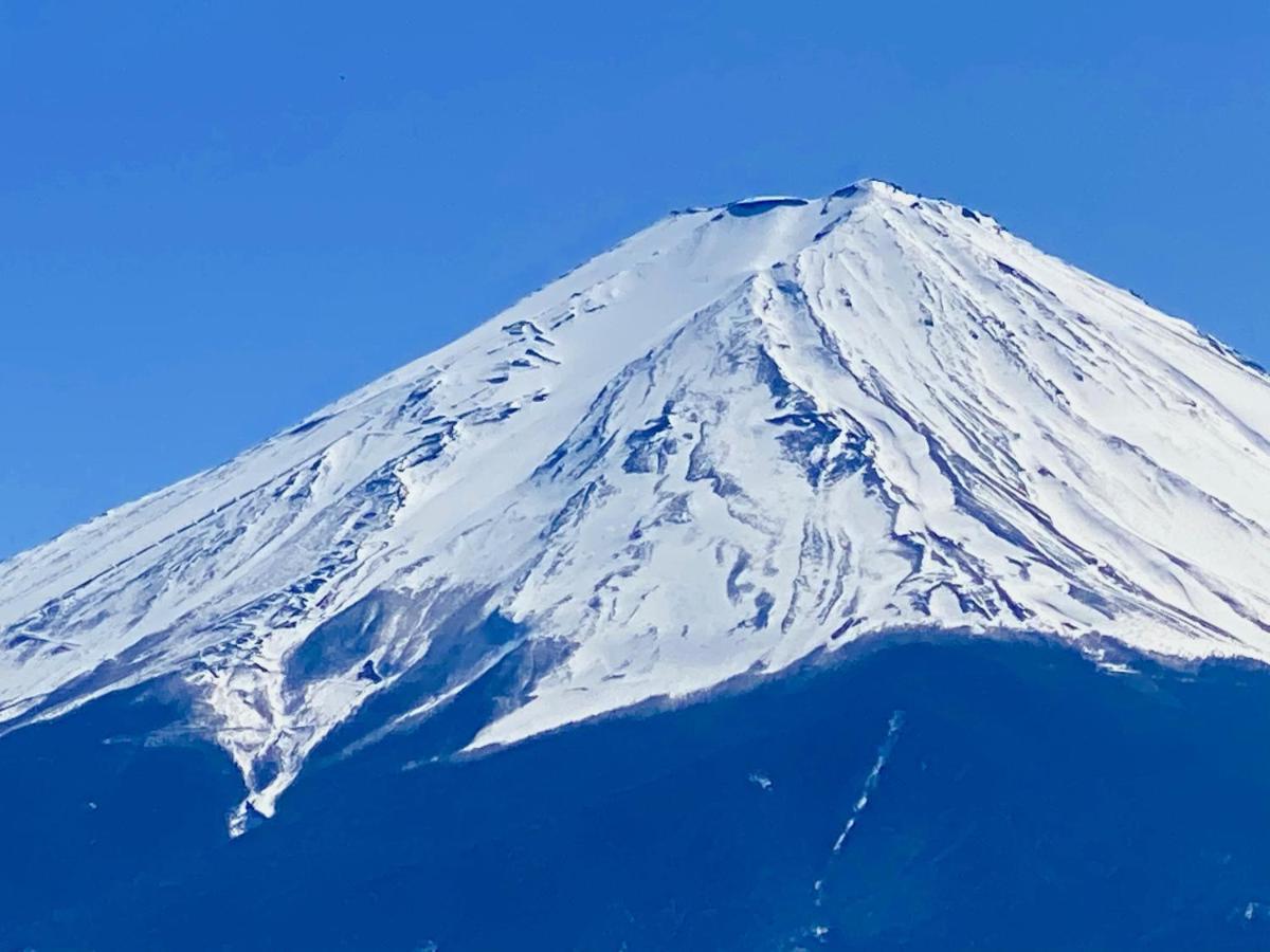 Mt Fuji Cat&Dog&Spa Pension Blue Poppy Fujikawaguchiko Exterior photo